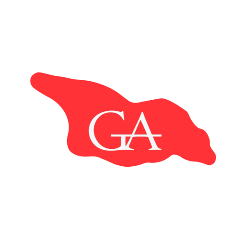 Юридическая компания Georgia Assistant